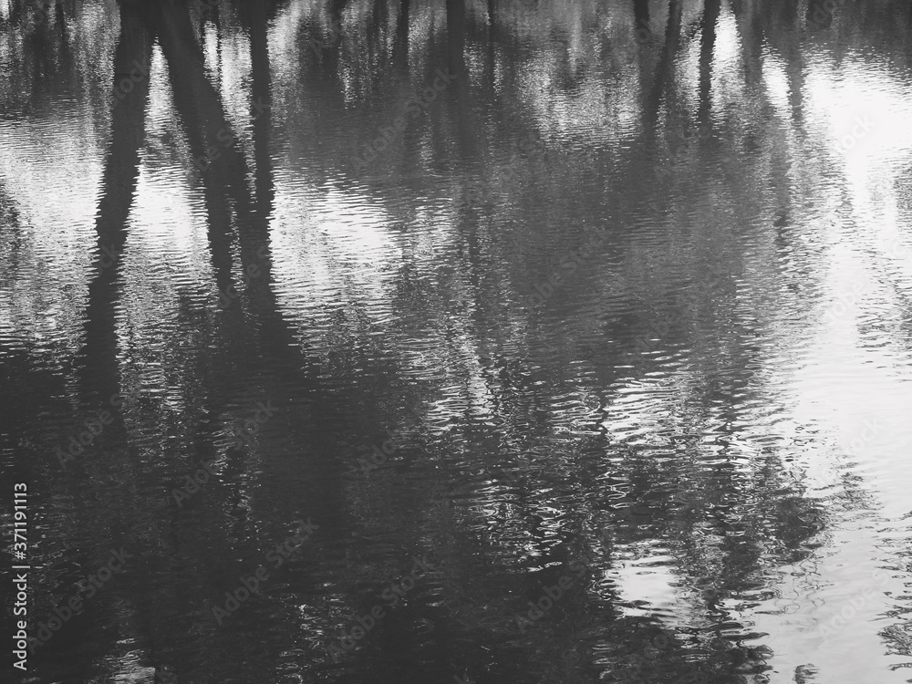 abstract water wave with reflection of tree, black and white style abstract water wave with reflection of tree, black and white style