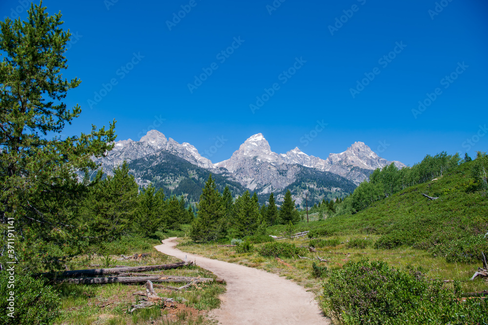 This is a view of the trail that leads to Taggart Lake. Shown here are the South Teton, Nez Perce, Middle Teton, Grand Teton, Mt. Owen and Teewinot (left to right) peaks.
Grand Teton National Park