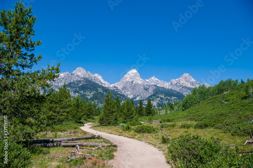 This is a view of the trail that leads to Taggart Lake. Shown here are the South Teton, Nez Perce, Middle Teton, Grand Teton, Mt. Owen and Teewinot (left to right) peaks. Grand Teton National Park