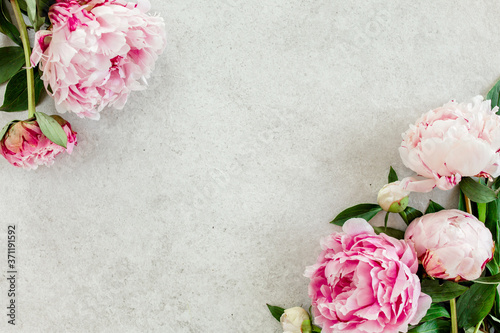 Beautiful pink peony flowers on gray stone table with copy space for your text. Flat style, top view © K.Decor
