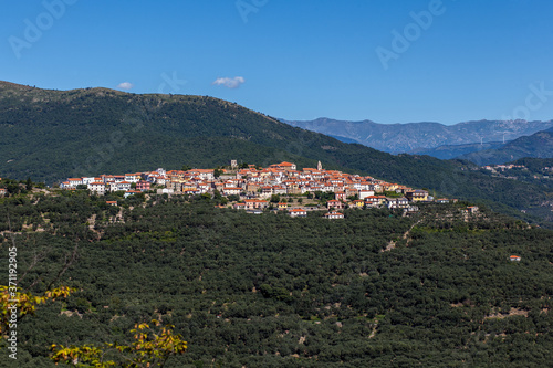 Lucinasco_Imperia photo