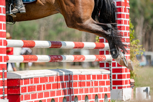 Horse detail from showjumping competition in summer. Close-up detail of horse movement. photo