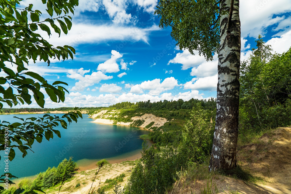 Summer landscape with lake and birch on a Sunny day and blue sky.