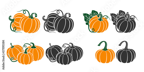 Pumpkins with leaves, silhouette on white background. photo