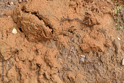 Natural background. A fragment of the surface of the clay wall of the ravine close-up.