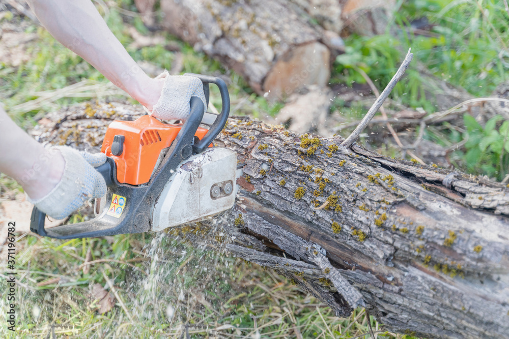 farmer sawing a tree with a chainsaw, selective focus, focus on the foreground, blurry background farmer sawing a tree with a chainsaw, selective focus, focus on the foreground, blurry background