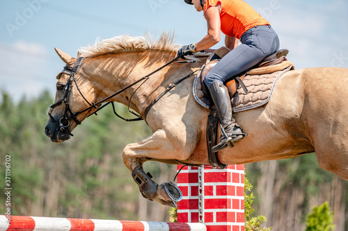 Horse detail from showjumping competition in summer. Close-up detail of horse movement. photo