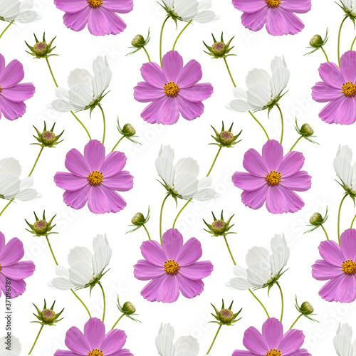 Colorful floral seamless pattern with pink cosmos flowers collage on white background. Stock illustration.