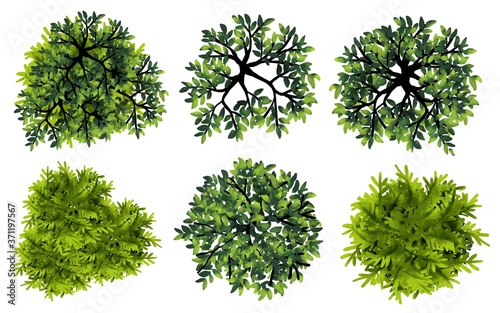 set of watercolor tree top view for landscape plan and architecture layout