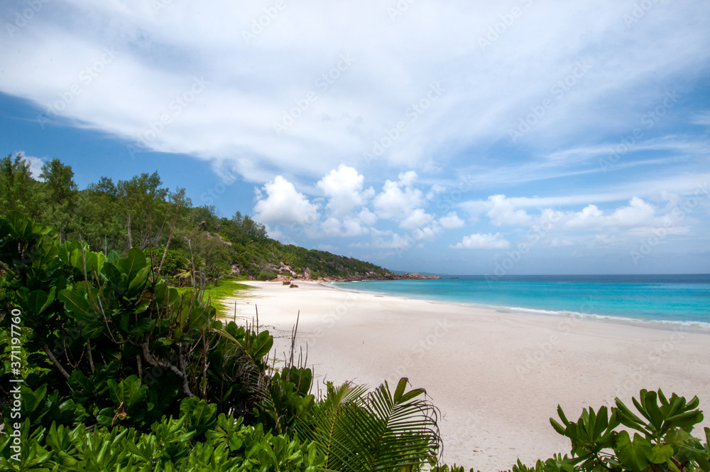 tropical beach with lush vegetation