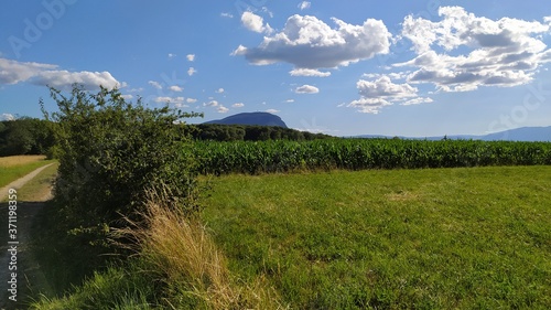 Le Salève vue de la frontière entre France et Suisse, entre Juvisy (Annemasse) et Moniaz 