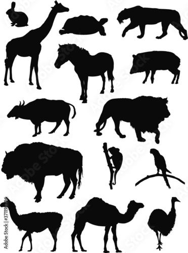 wild animals silhouettes