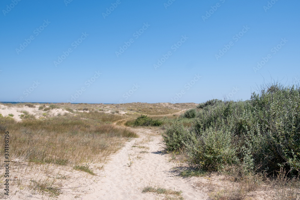 Landscape Of Road Turn In Middle Of White Sand Dunes