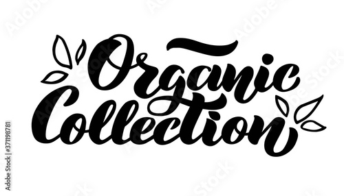 Organic collection - lettering for the store of organic products, cosmetics and Eco goods. Illustration isolated on white background. Eco-friendly concept for banners, cards, advertisement.