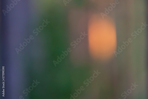 Forest in soft light and blur