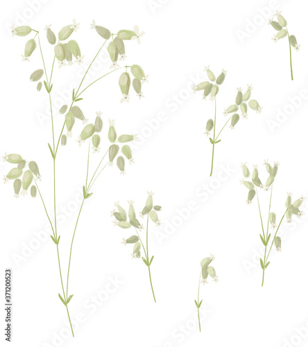 Field plants and flowers. delicate pastel colors and shades. plant frame