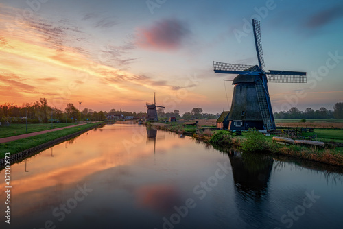Holland landscape of flowers, tulips and windmills