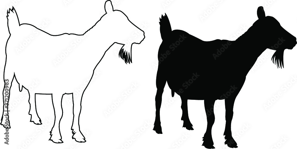 silhouette of a goat