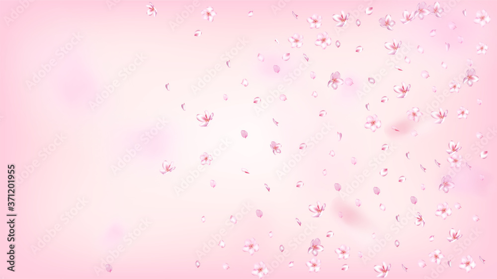 Nice Sakura Blossom Isolated Vector. Feminine Falling 3d Petals Wedding Border. Japanese Gradient Flowers Illustration. Valentine, Mother's Day Realistic Nice Sakura Blossom Isolated on Rose