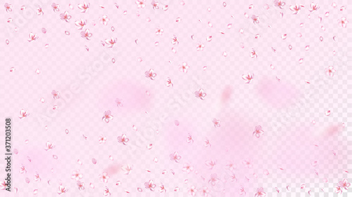 Nice Sakura Blossom Isolated Vector. Beautiful Showering 3d Petals Wedding Pattern. Japanese Blooming Flowers Illustration. Valentine  Mother s Day Realistic Nice Sakura Blossom Isolated on Rose