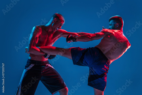 Adrenaline. MMA. Two professional fighters punching or boxing isolated on blue studio background in neon. Fit muscular caucasian athletes or boxers fighting. Sport, competition and human emotions, ad. © master1305