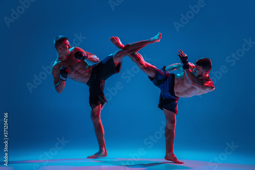 Muscular. MMA. Two professional fighters punching or boxing isolated on blue studio background in neon. Fit muscular caucasian athletes or boxers fighting. Sport, competition and human emotions, ad.