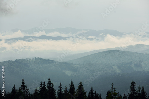 Majestic Carpathian Mountains. Beautiful landscape of untouched nature © standret