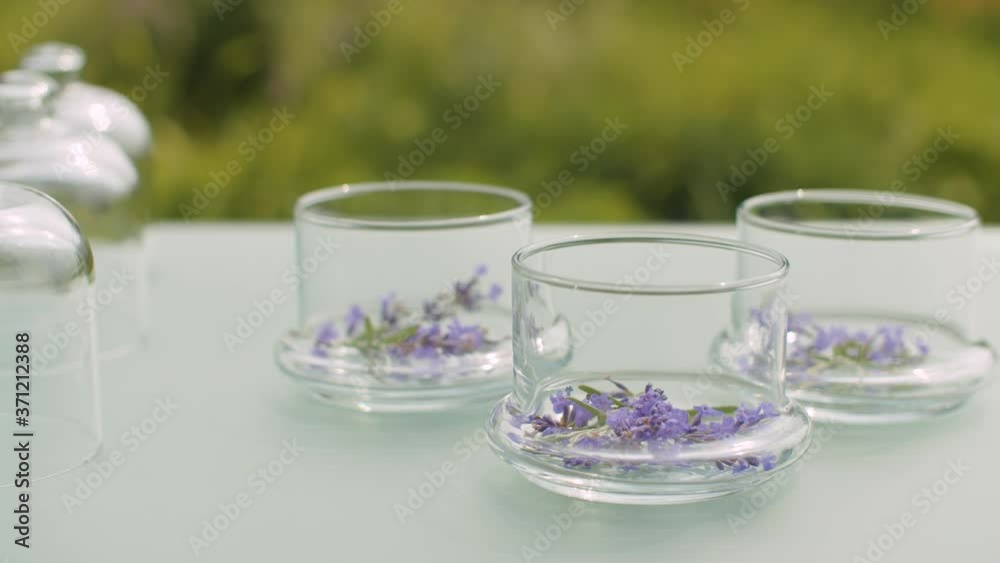 Close up lavender flowers in glass jars on the table in the garden. Healing herbs. Plants for skin care, pharmacy and aromatherapy. Closeup shot with slide or move camera.
