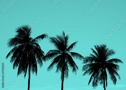 silhouette coconut tree on blue background © srckomkrit