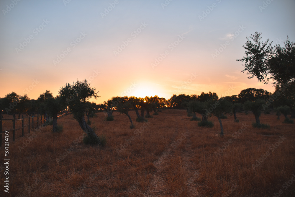 Foto del atardecer en el campo