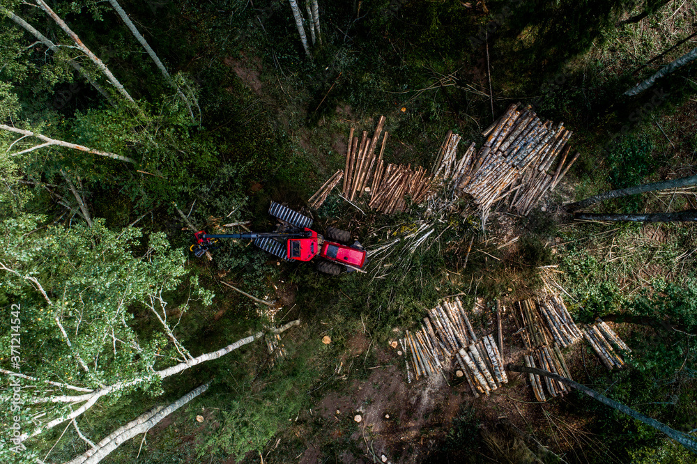 Aerial of a red wood harvester cutting some trees in Estonian boreal forest, Northern Europe. Aerial of a red wood harvester cutting some trees in Estonian boreal forest, Northern Europe.