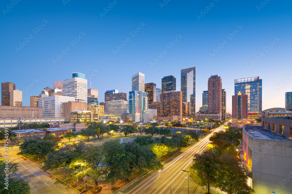 Houston, Texas, USA City Skyline