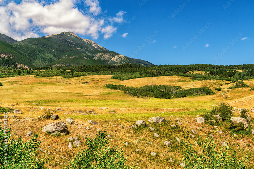 Landscape image of a meadow here in Montana