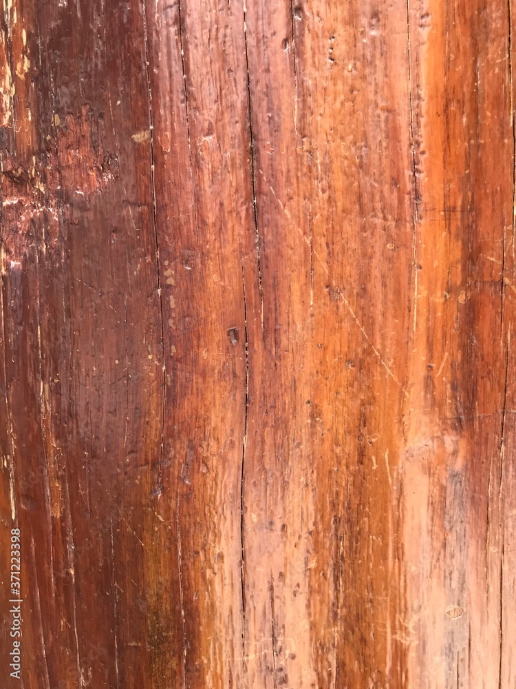 Naklejka premium The Wood texture or background.