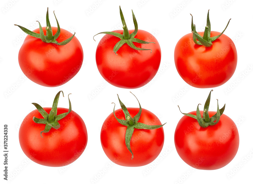 tomato path isolated on white tomato path isolated on white