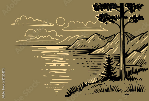 uneven pine tree stands on ground 