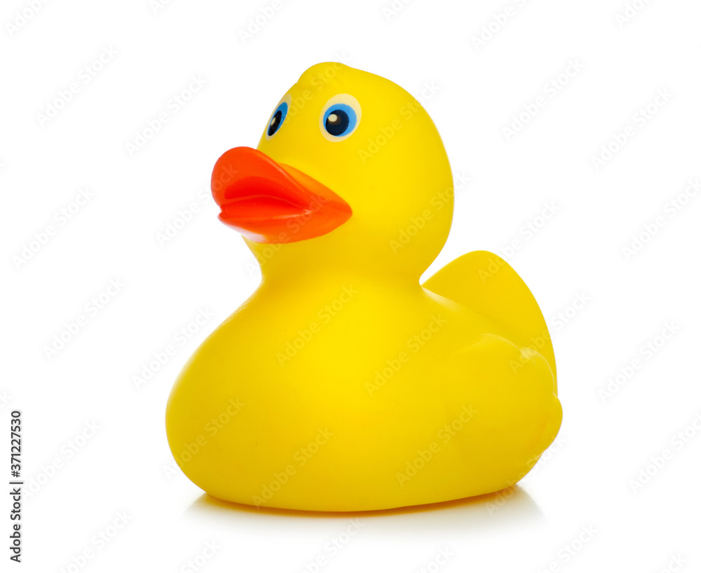 Yellow rubber duck on white background isolation