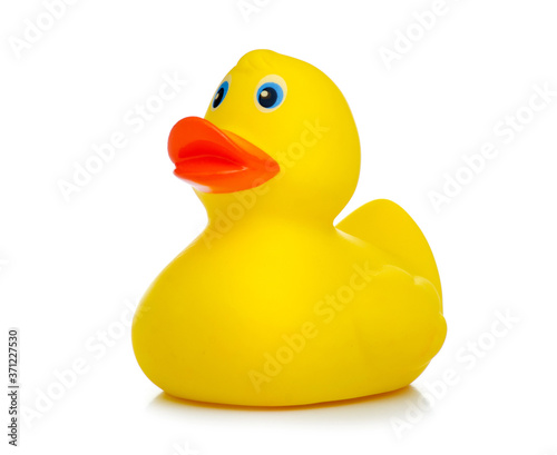 Yellow rubber duck on white background isolation