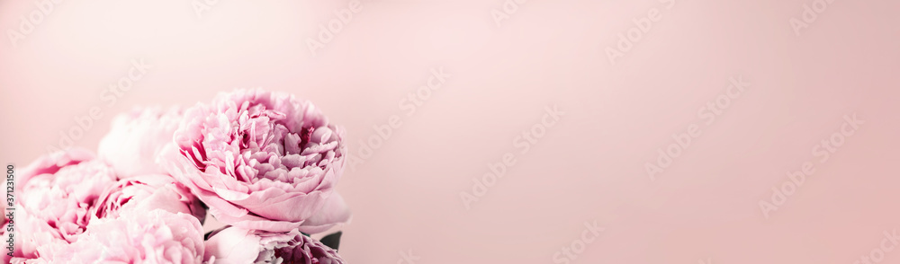Wedding, birthday, anniversary bouquet. Pink peony flower on pastel background. Copy space. Trendy pastel floral composition. Woman day, Mother's day. Macro of peonies flowers
