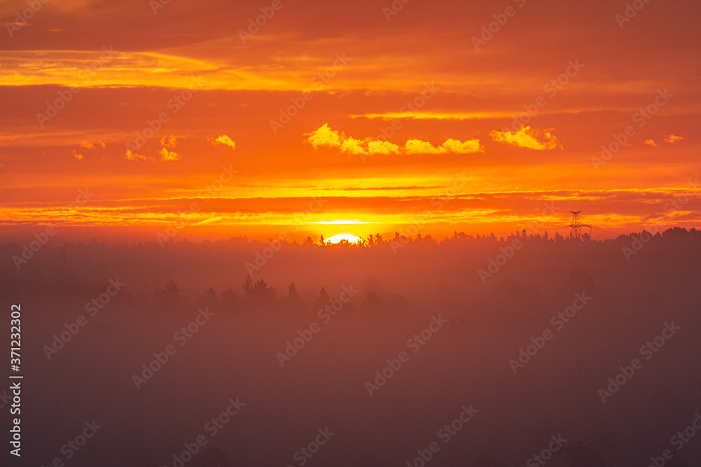 Fototapeta premium sunrise in a swamp with fog
