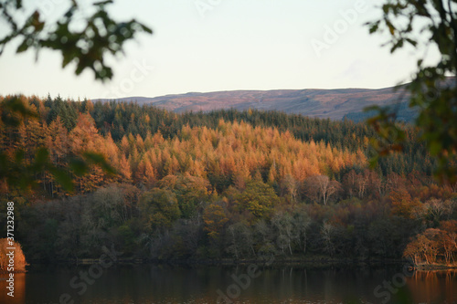 Autumn Colour over a Loch in Scotland.