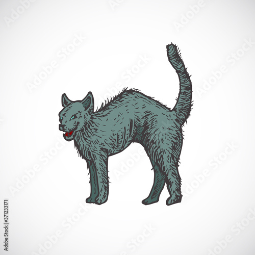 Hand Drawn Colorful Halloween Scary Evil Cat Vector Illustration. Abstract Animal Sketch. Holiday Engraving Style Drawing.