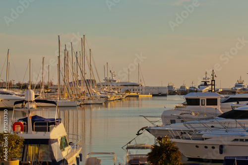 boats in the harbor Cannes