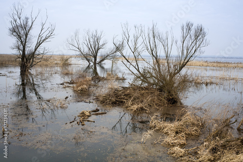 ujście rzeki Warty rozlewiska photo