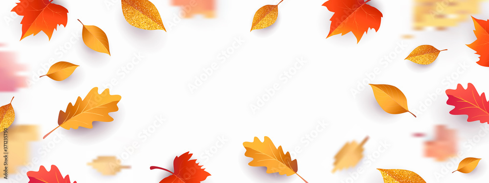 Autumn seasonal background with border frame with falling autumn golden, red and orange colored leaves on white background with place for text. Hello autumn vector illustration - obrazy, fototapety, plakaty 