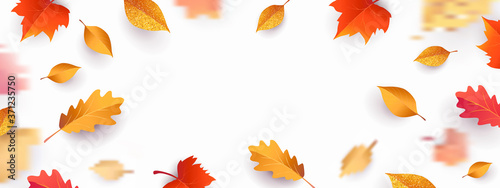 Autumn seasonal background with border frame with falling autumn golden, red and orange colored leaves on white background with place for text. Hello autumn vector illustration