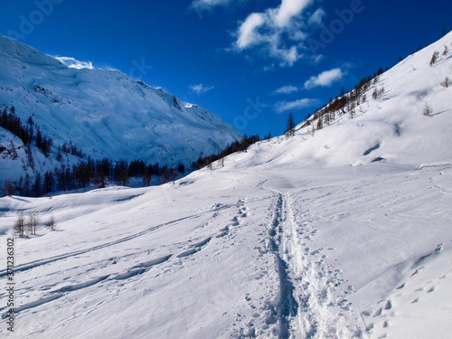 snowy winter panorama of the valley.