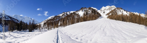 snowy winter panorama of the valley.
