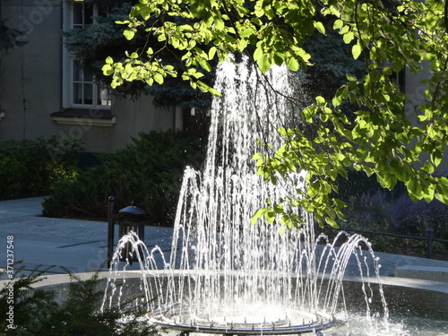 Mała okrągła fontanna wśród zieleni v2