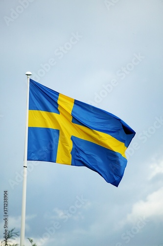 Suedish Flag